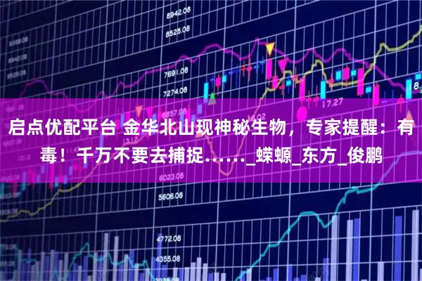 启点优配平台 金华北山现神秘生物，专家提醒：有毒！千万不要去捕捉……_蝾螈_东方_俊鹏