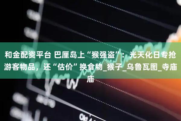 和金配资平台 巴厘岛上“猴强盗”：光天化日专抢游客物品，还“估价”换食物_猴子_乌鲁瓦图_寺庙